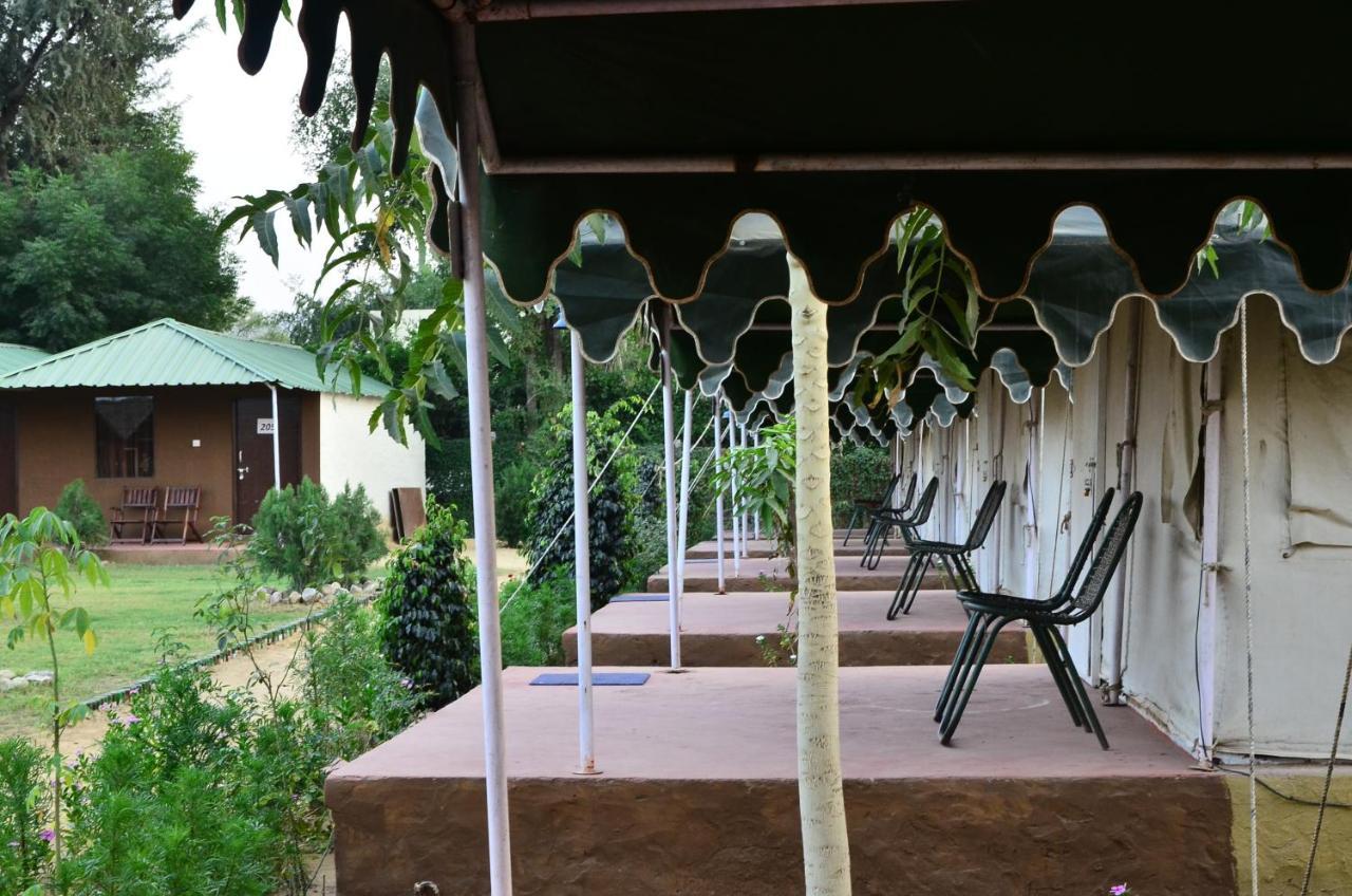 The Narayan Resort Farm Stay Pushkar Eksteriør bilde